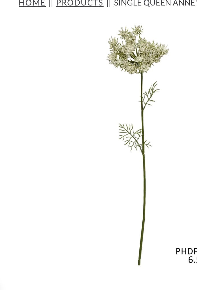 SINGLE QUEEN ANNE’S LACE WHITE STEM