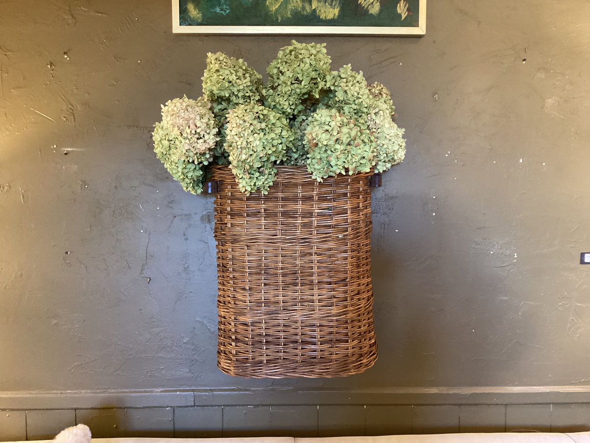 Large hydrangeas with basket