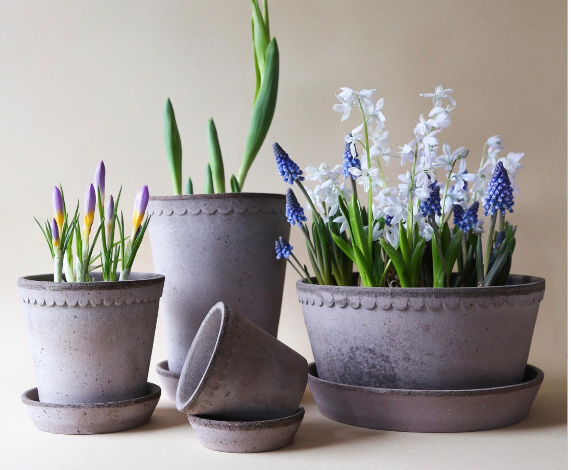 PLANTER HELENA RAW GREY,SET