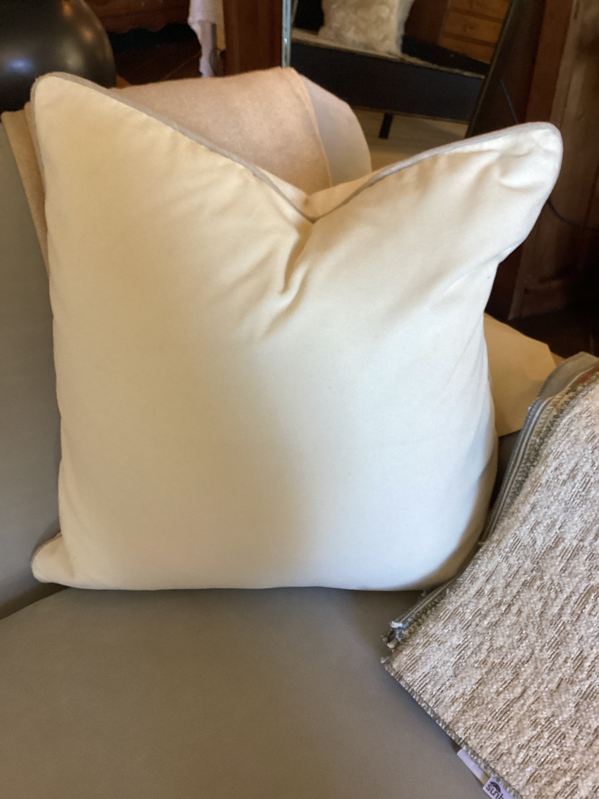 Pillow 22x22 SLD Velvet Ivory Grey Trim