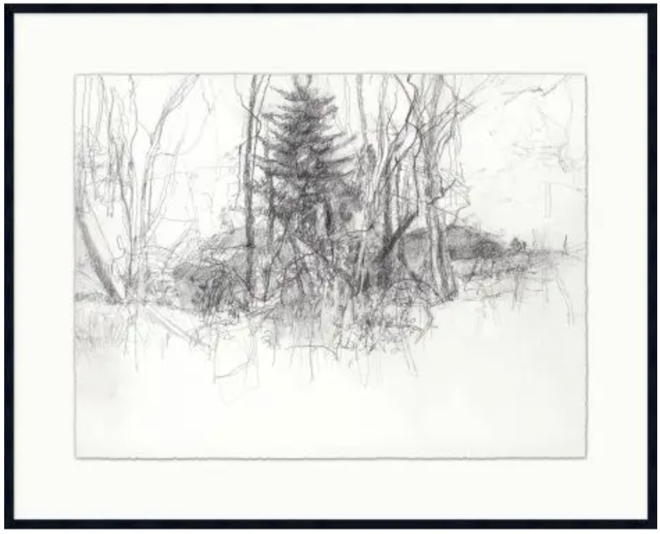 Forest Sketch