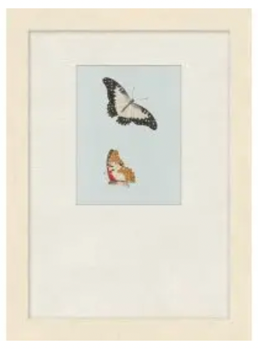 Butterflies Study 1 ,2,3