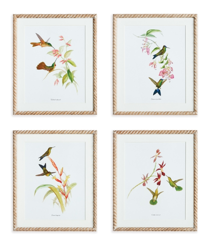 PLAYFUL HUMMINGBIRD PRINTS, SET OF 4