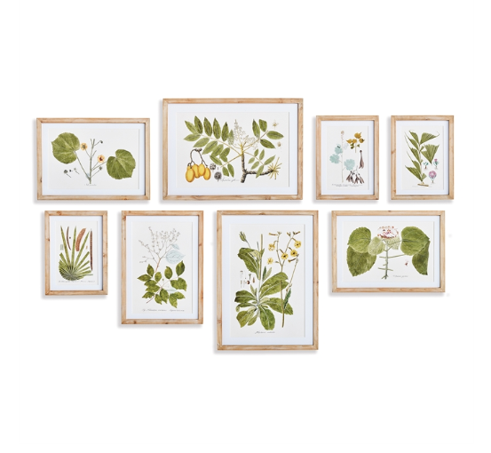 FLORA AND FAUNA GALLERY PRINTS - SET OF 8