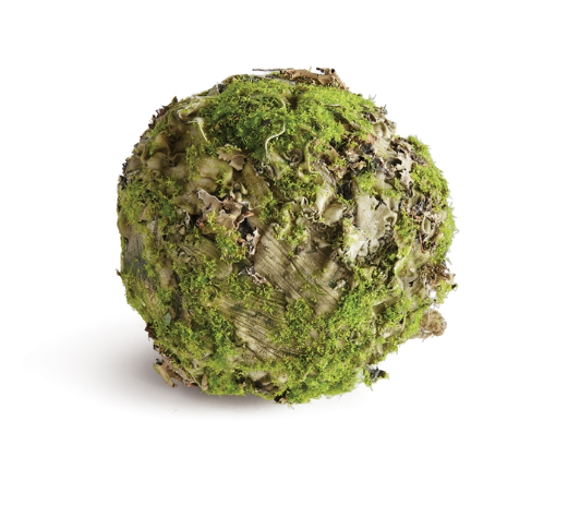 MOSSY LICHEN ORB 6.5"