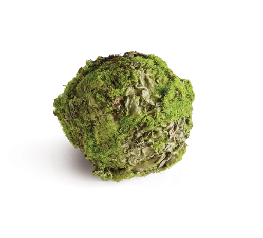 MOSSY LICHEN ORB 4.5"