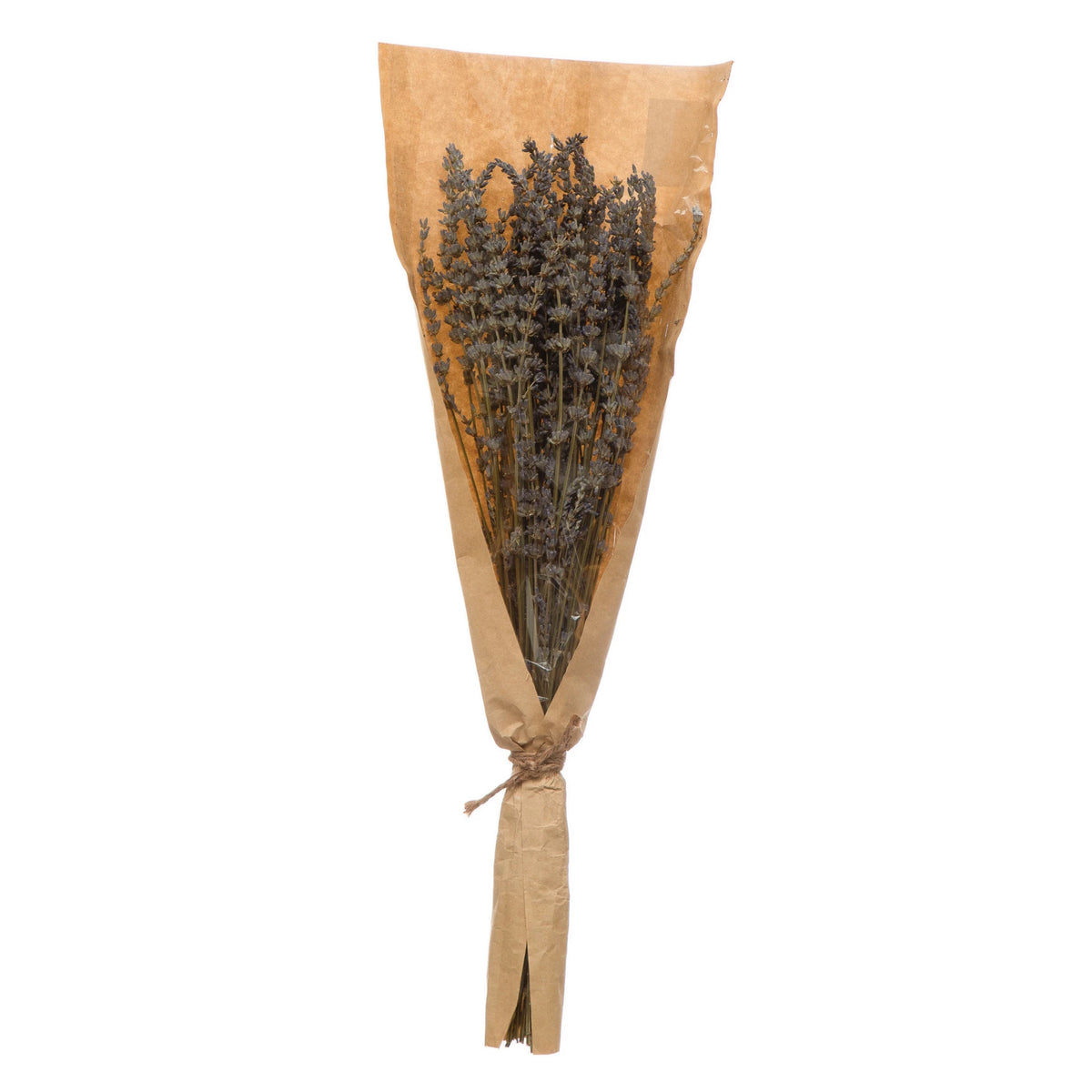 Dried Natural Lavender Bunch