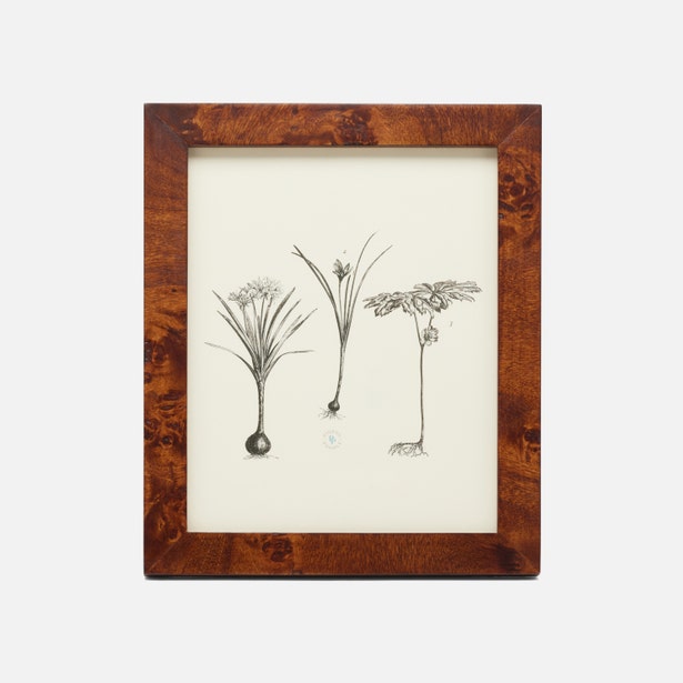 Burl Wood Frame