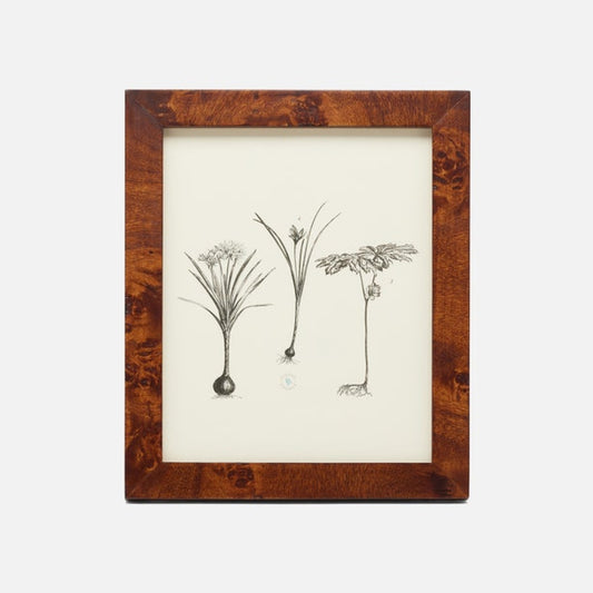 Burl Wood Frame