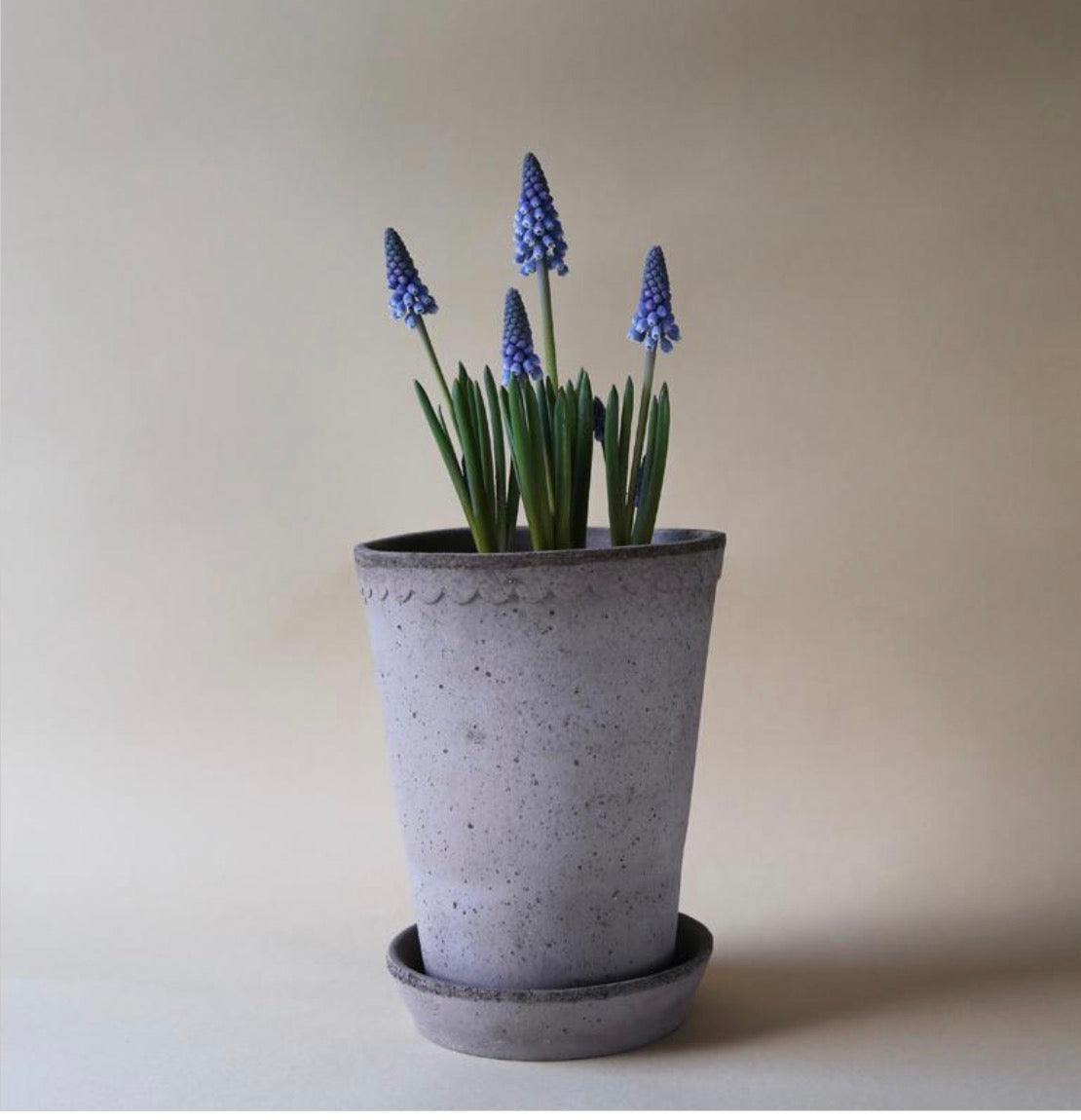 PLANTER HELENA RAW GREY TALL SET