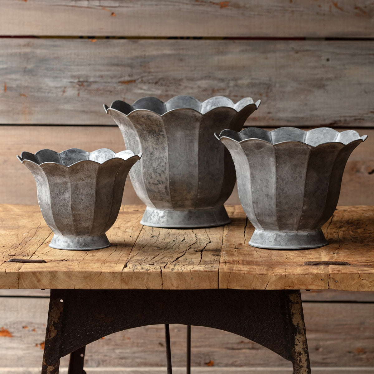 Trompette Metal Planters, Set of 3