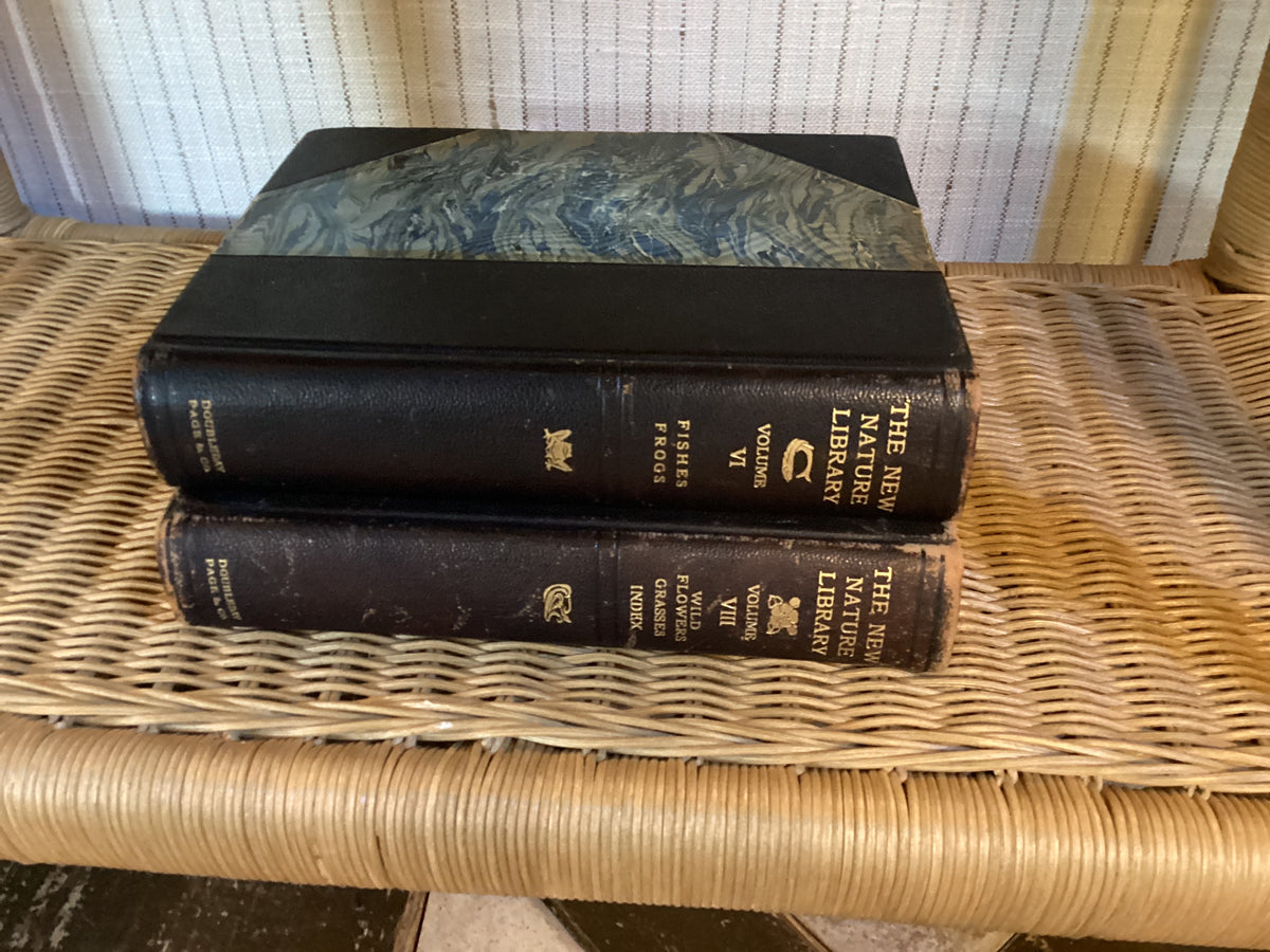 NATURE STUDIES TABLE BOOKS SET OF 4