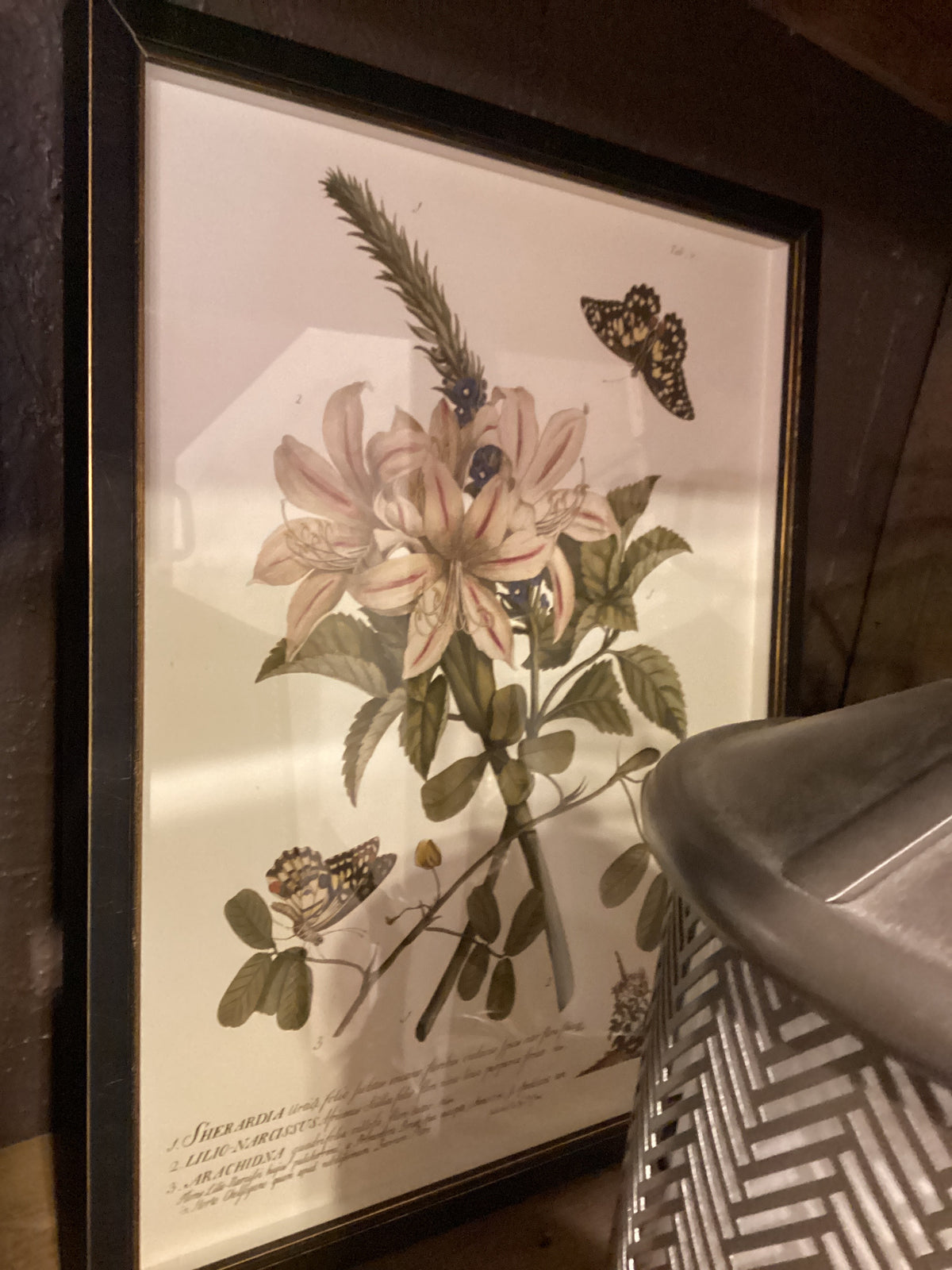 Print lily/ butterfly SALE:$197.00