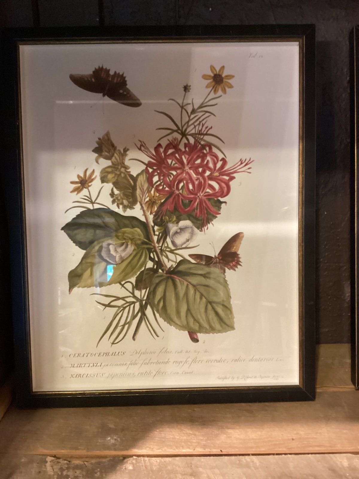 Print lily/ butterfly SALE:$197.00