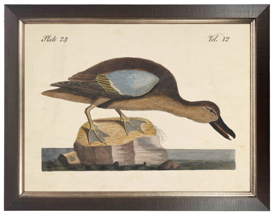 Vintage duck bookplate on a distressed natural background