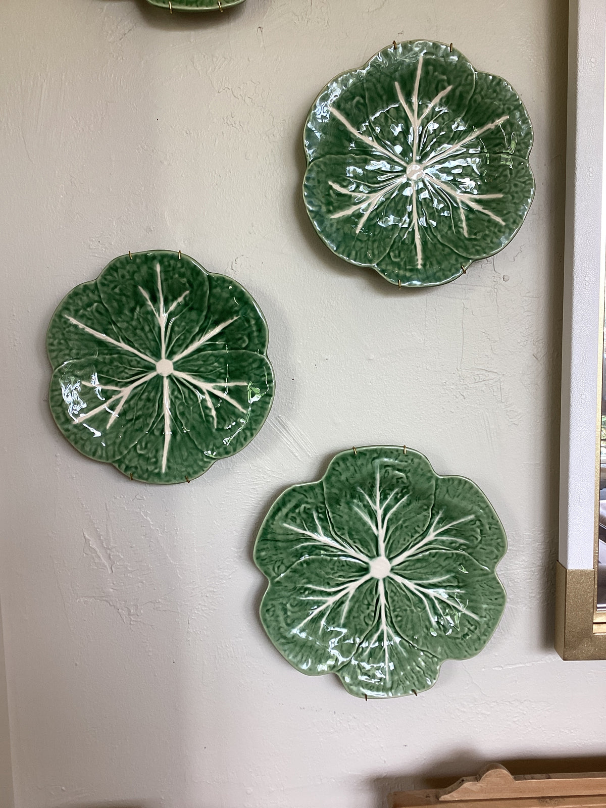 Green Cabbage Collection