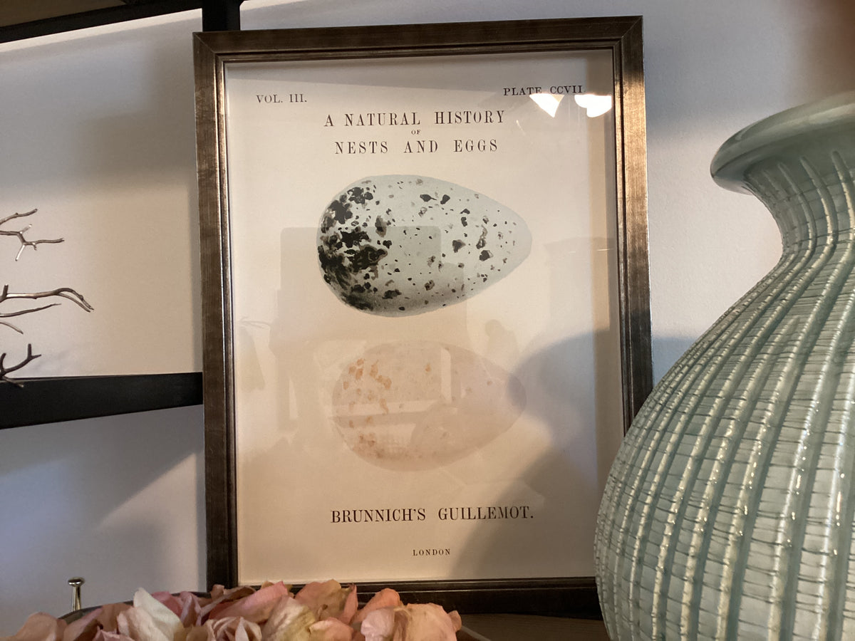 Framed Print - Vintage Natural History Egg Bookplate