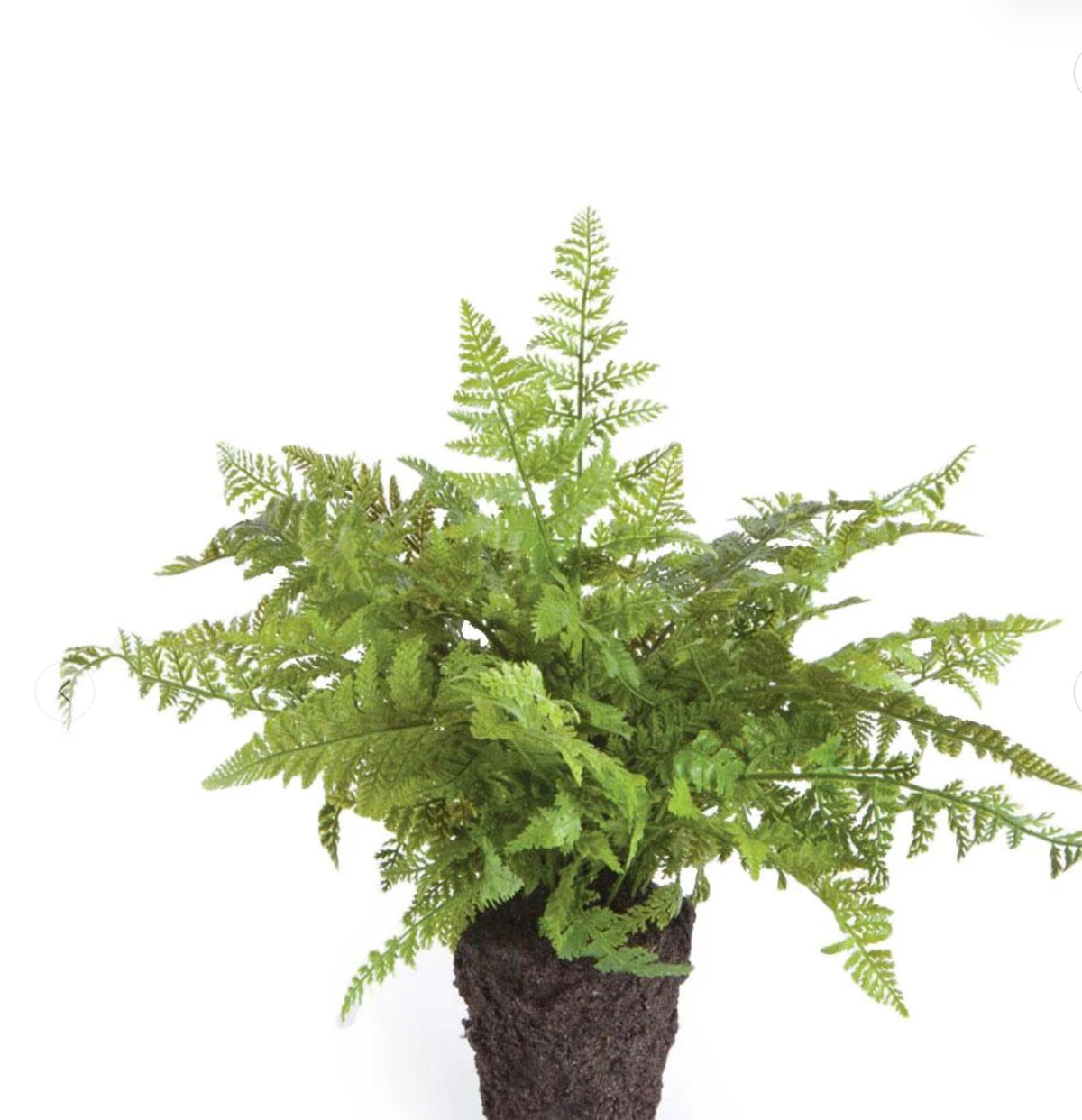 SOFT FERN DROP IN 13”