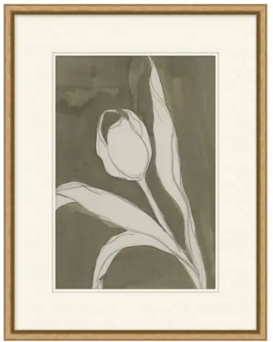 Sweet Tulips