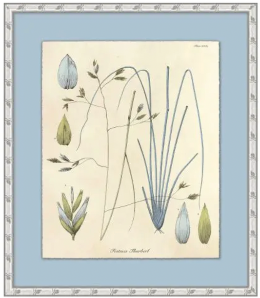 Blue Seedlings - Art