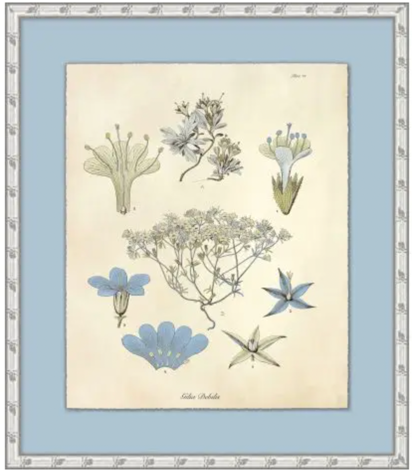 Blue Seedlings - Art
