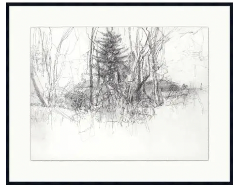 woodland sketch Large B&W