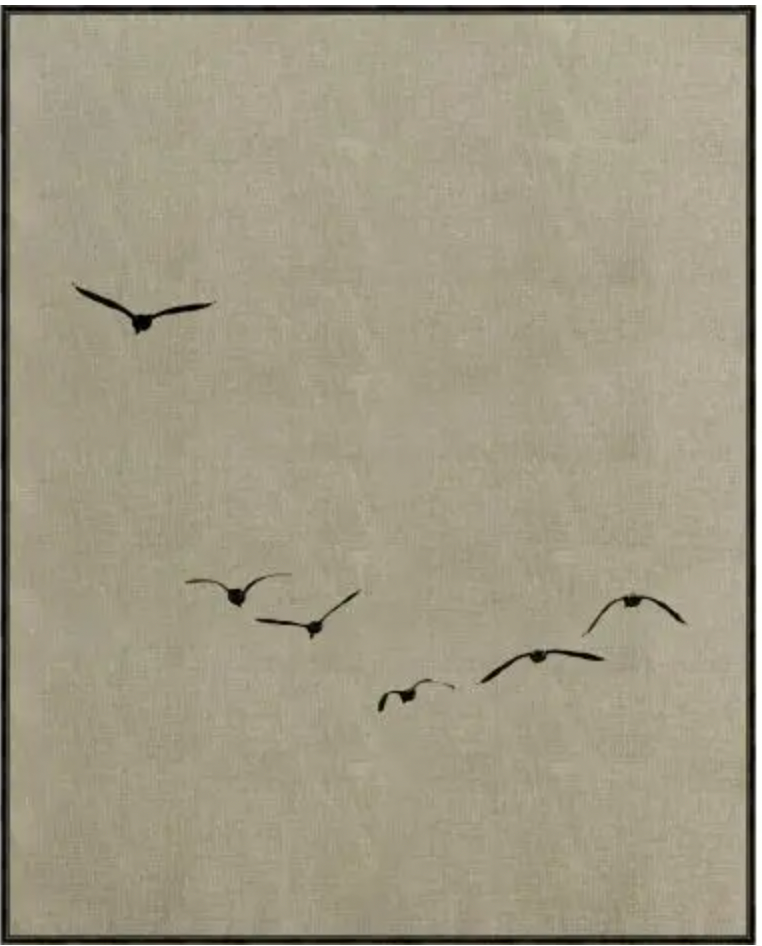 Aviation Game 1 - Geese in Flight - Canvas