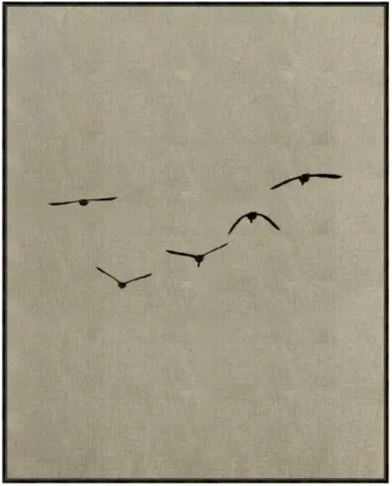 Aviation Game 2- Geese in Flight -Canvas