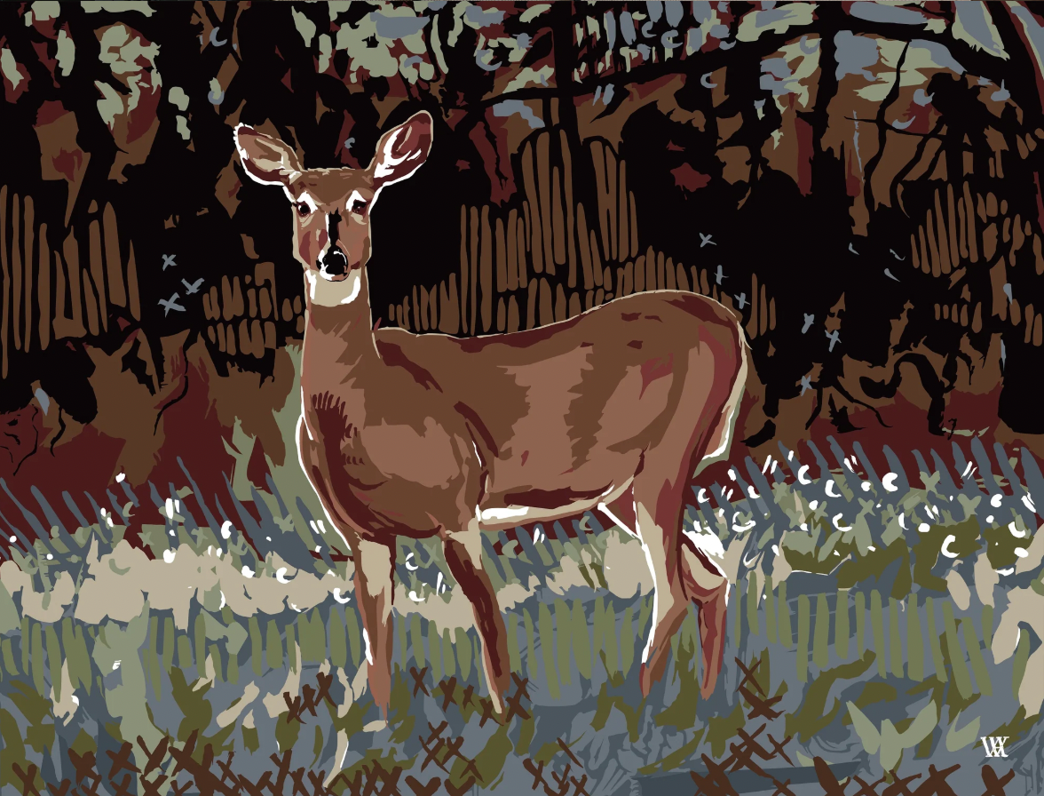 5 x 7 Alert at Golden Hour - Slate