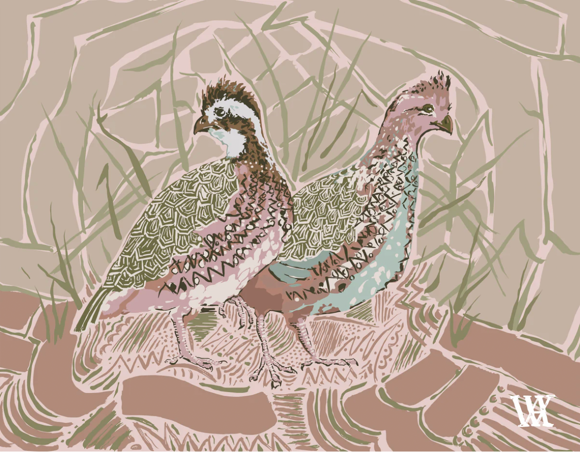 5 x 7 Bobwhite Pair Quails - Pink