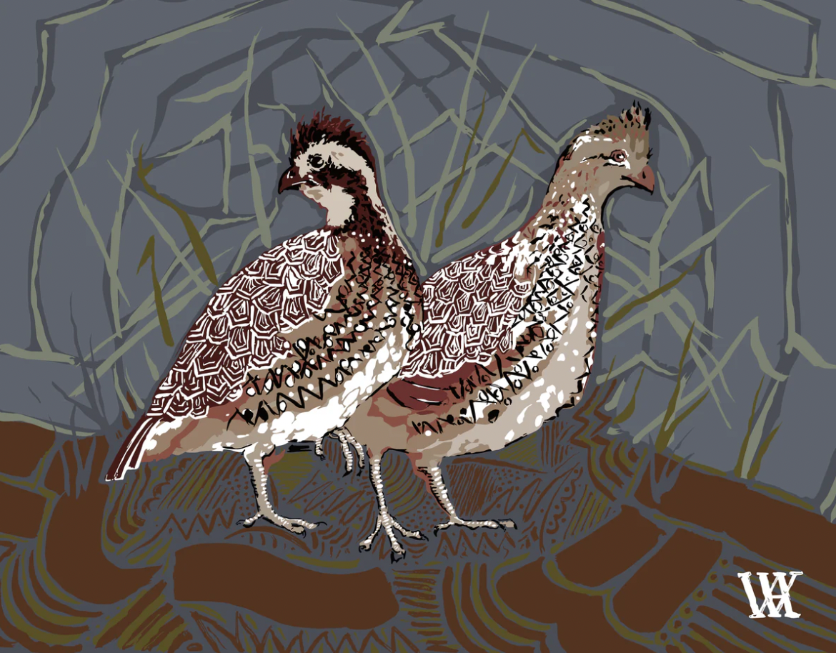 5 x 7 Bobwhite Pair Quails - Slate - Espresso Frame