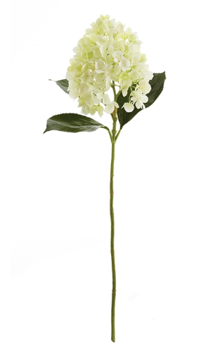 CONE HYDRANGEA STEM 28"