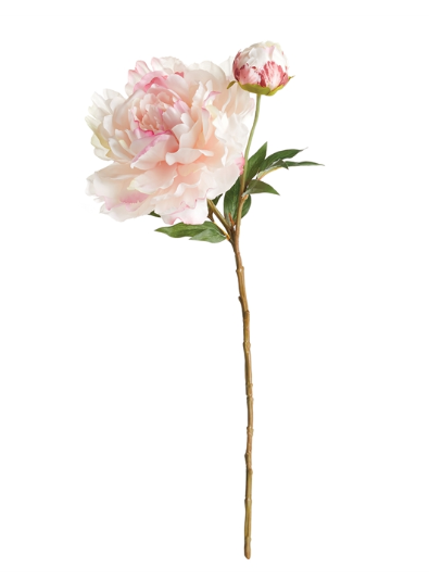 PEONY STEM 21"