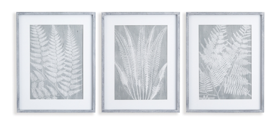 FERN FROND PRINTS - SET OF 3
