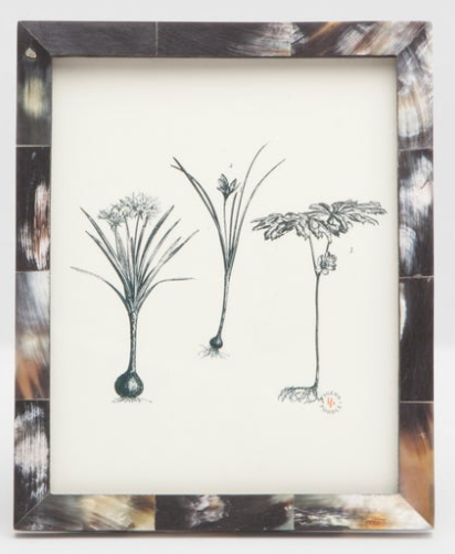 Essen Print in African Horn Frame